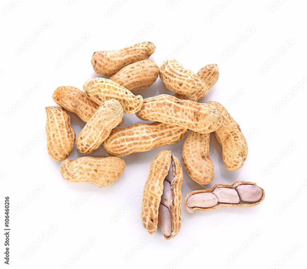 Boiled Peanuts on white background Boiled Peanuts on white background