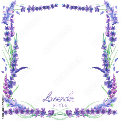 A card template, frame border for a text with the watercolor lavender flowers, hand-drawn on a white background, a greeting card, a decoration postcard, wedding invitation