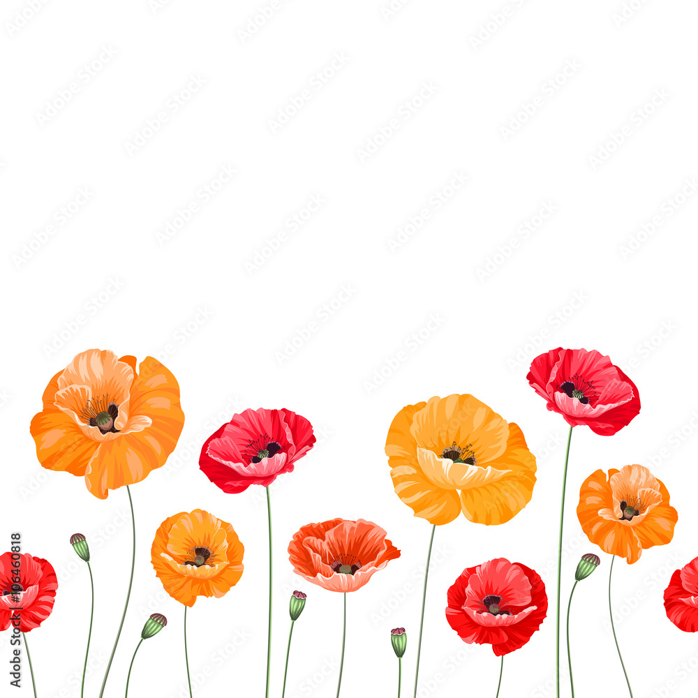 Fototapeta premium Pattern of poppy flowers.