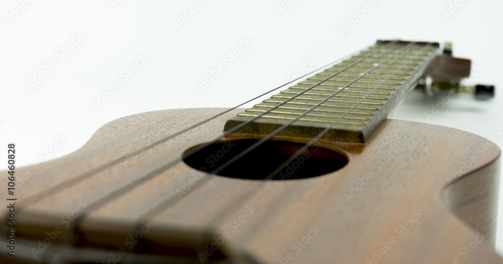 Fototapeta premium Ukulele 5