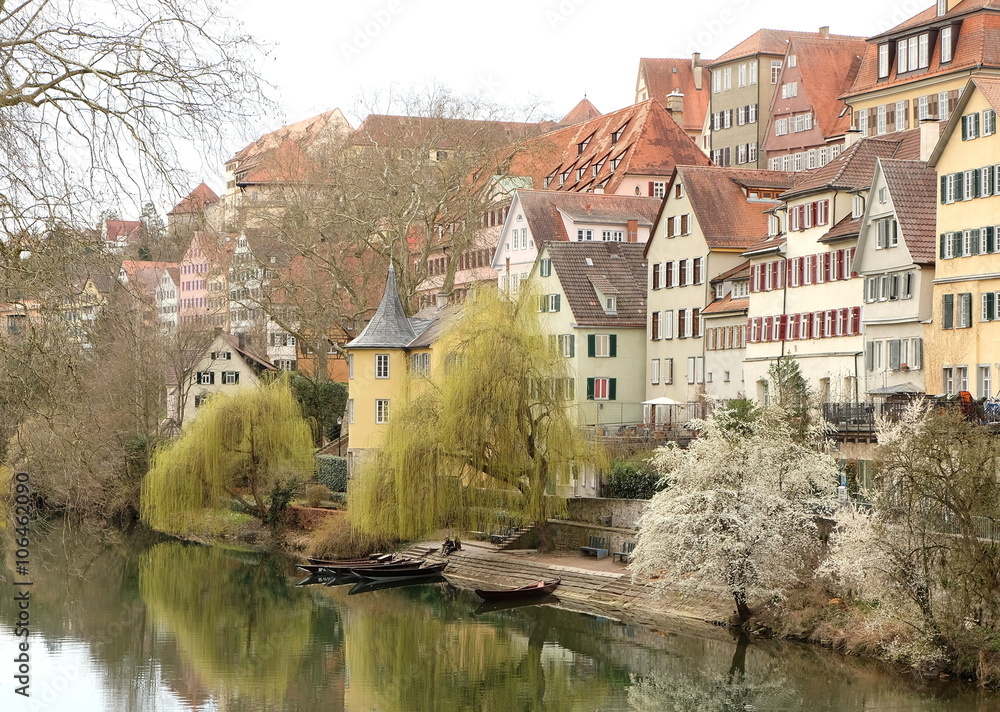 Tübingen im Frühling