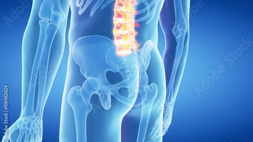 medical 3d animation of the lumbar spine  photo