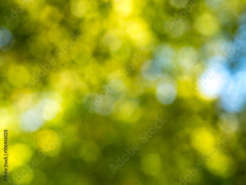Out of focus green bokeh