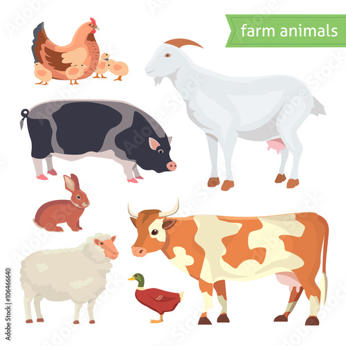 Cartoon Vector Illustration Set of  Farm Animals isolated on White