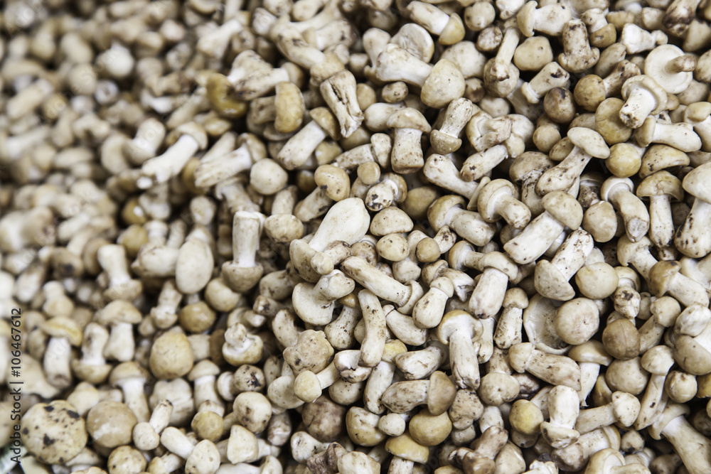 Dried mushrooms in a market