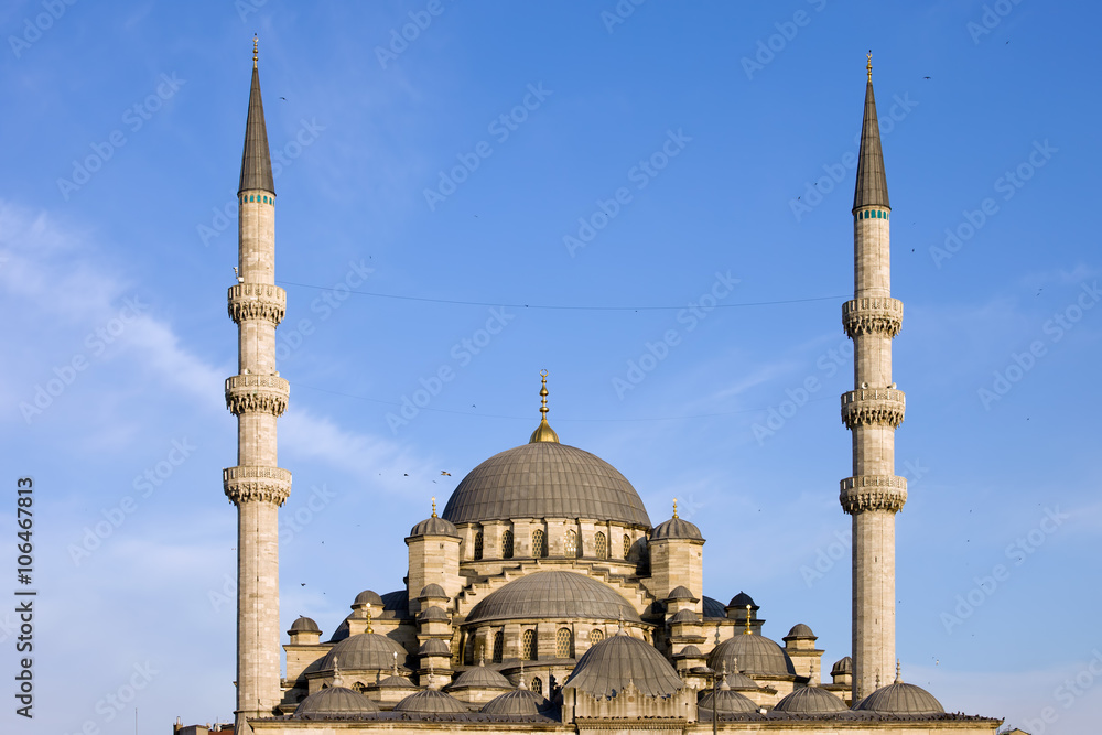 Domes and Minarets of New Mosque in Istanbul