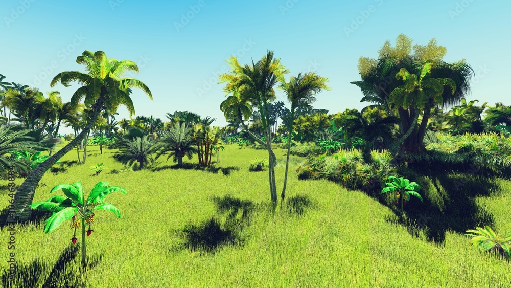 Fototapeta premium Lush vegetation in jungle