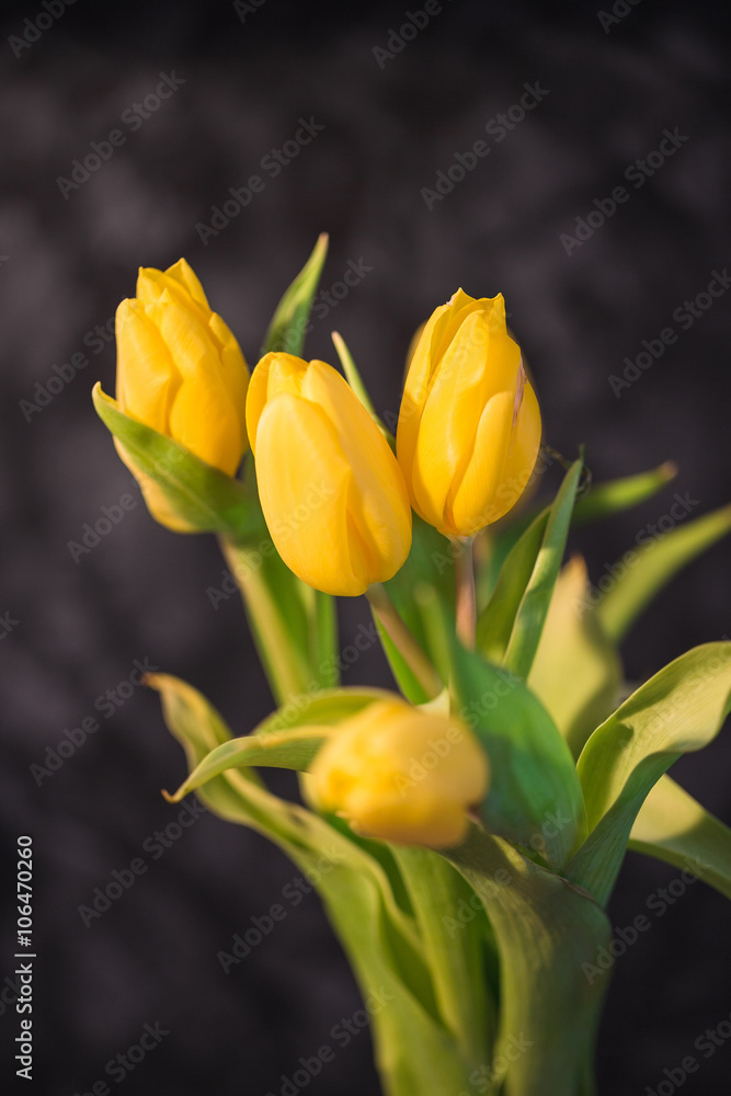 Beautiful spring yellow tulips in a vase Beautiful spring yellow tulips in a vase