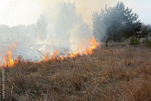 Stubble burning in meadow. © Attila Toro