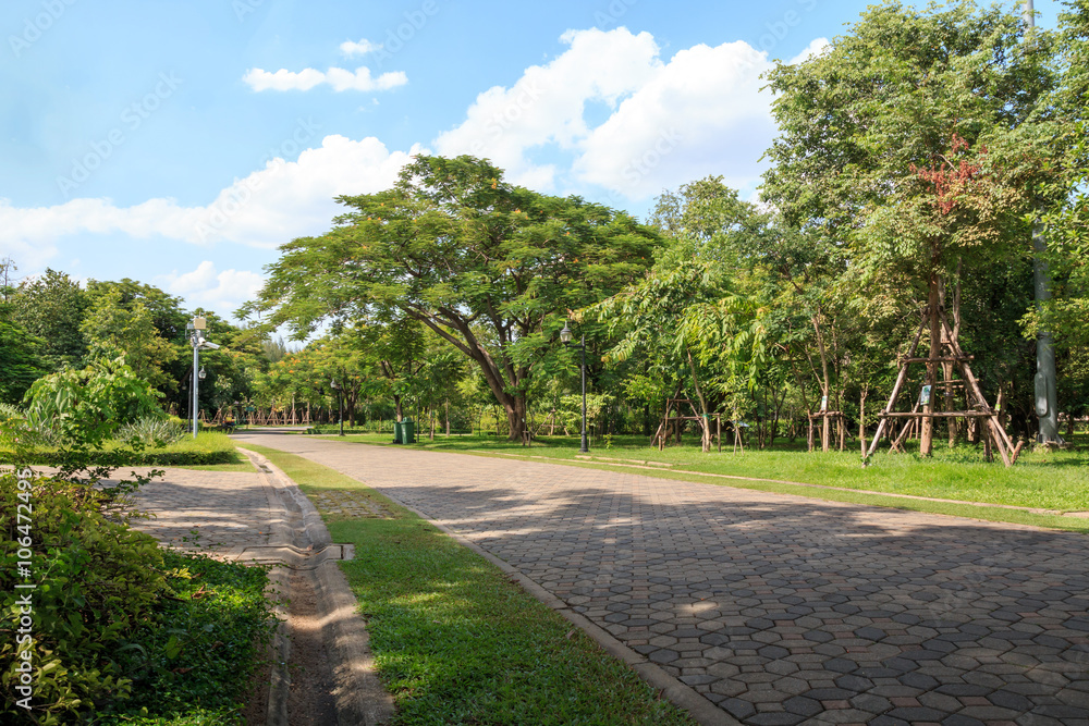 park park