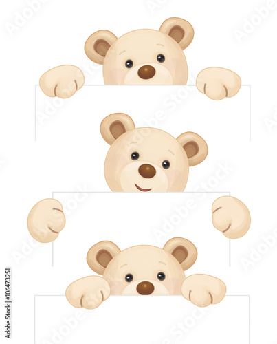 Vector cute brown bear holding blank isolated.