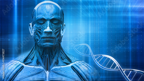 Billede på lærred human head anatomy in medical background with dna