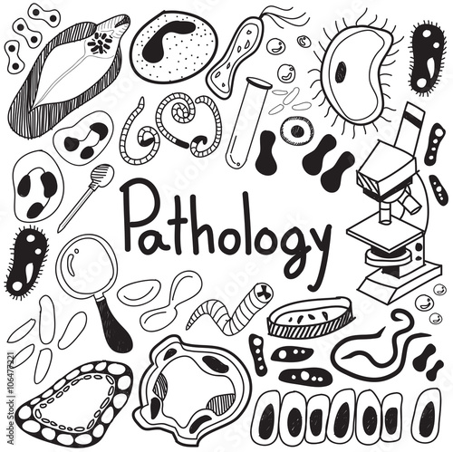 Pathology biology doodle handwriting icons of germ and pathogen for human disease such as virus, bacteria, fungus, amoeba, and Protozoa in white isolated paper background for education (vector) 