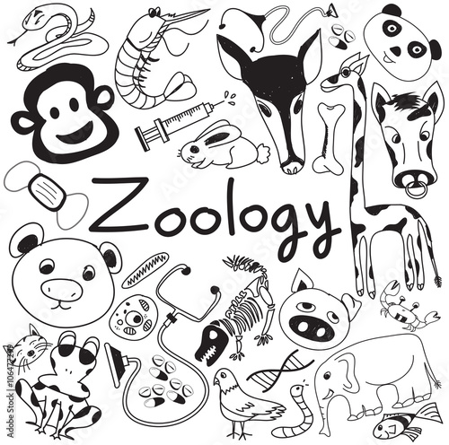 Zoology biology doodle handwriting icons of animal species and education tools in white isolated paper background for science presentation or subject title, create by vector 