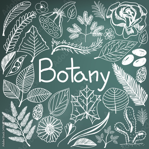 Botany biology doodle handwriting icons plants and trees in blackboard background for science education presentation or subject title, create by vector 