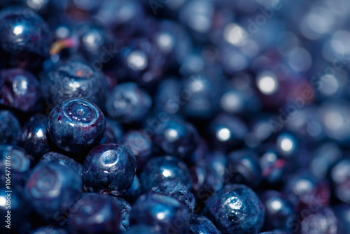 Organic small blueberries. Focus on left side  convenient space for copy