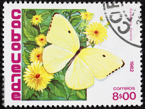 GROOTEBROEK ,THE NETHERLANDS - MARCH 8,2016 : A stamp printed in Cape Verde shows the butterfly Malanitis lede on plants and flowers of hibiscus, circa 1982  photo