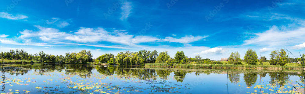 Fototapeta premium Calm pond and water plants