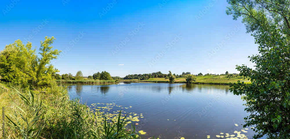 Naklejka premium Calm pond and water plants