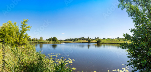 Calm pond and water plants photo