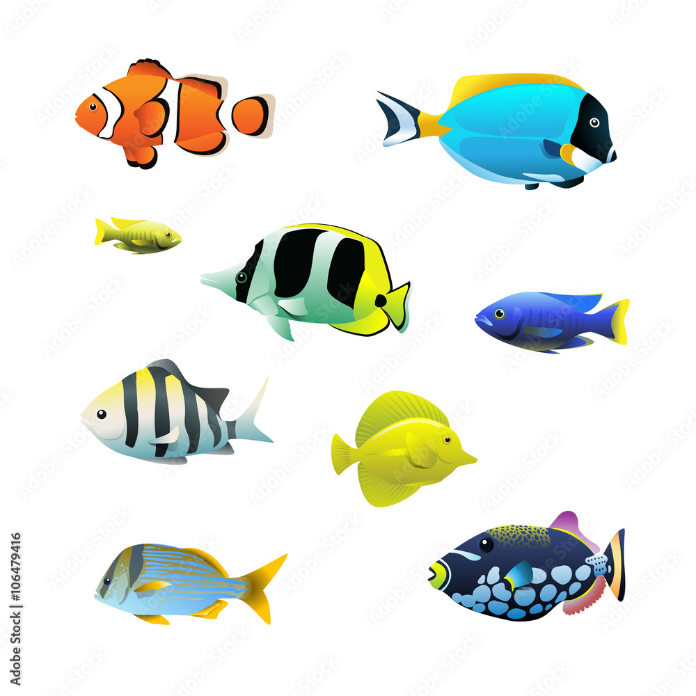 Fototapeta premium Tropical fish set
