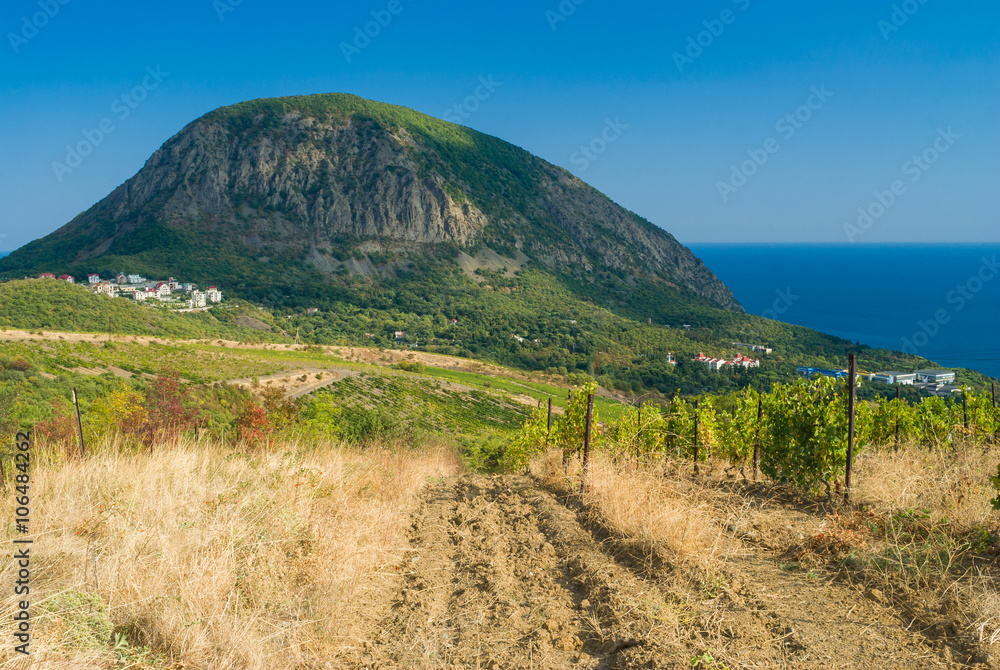 View from nearest vineyards on a Bear (Ayu-Dag) mountain near Gurzuf resort in Crimean peninsula