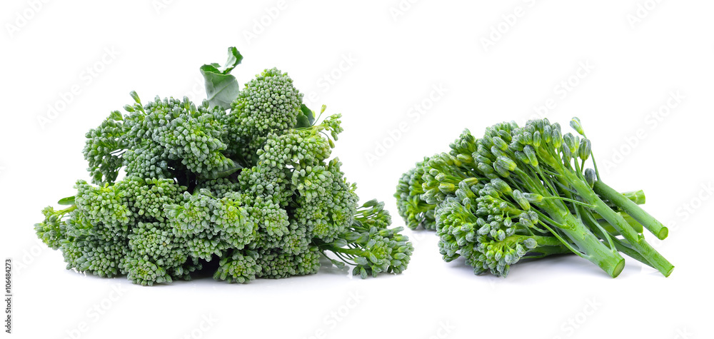 Broccoli on white background Broccoli on white background
