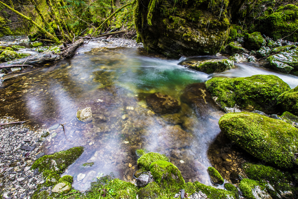 Rivière de montagne