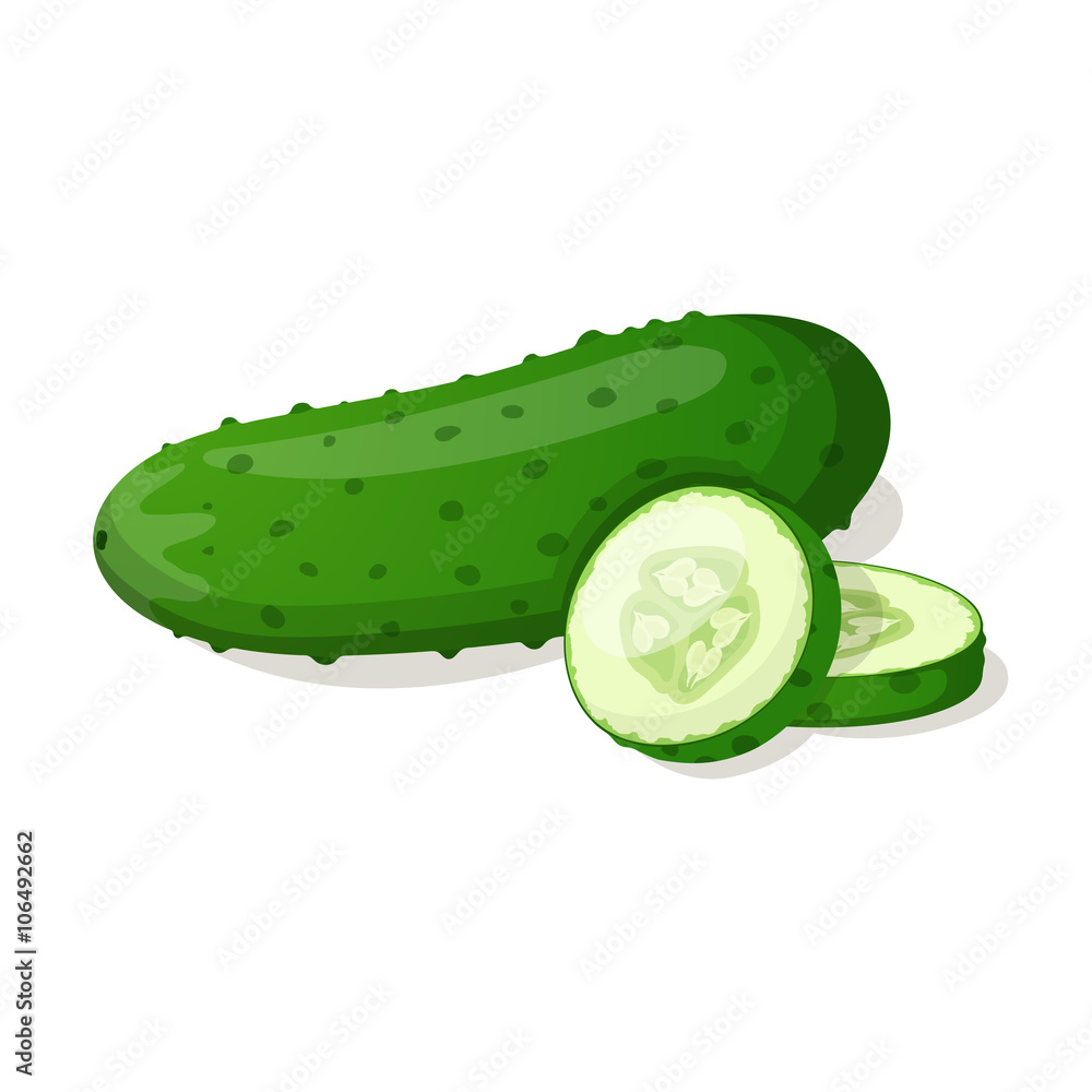 Cucumber isolated on white. Vector illustration Cucumber isolated on white. Vector illustration