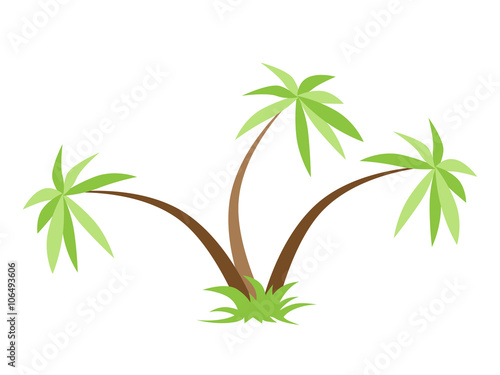 Three palm trees isolated