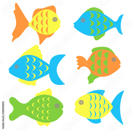 Color fish set on white background