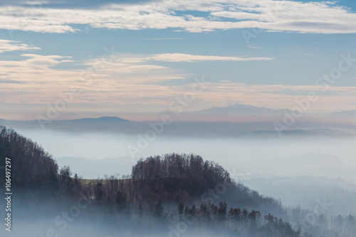 Bare trees on the hill sticking out of the mist covering the valley.