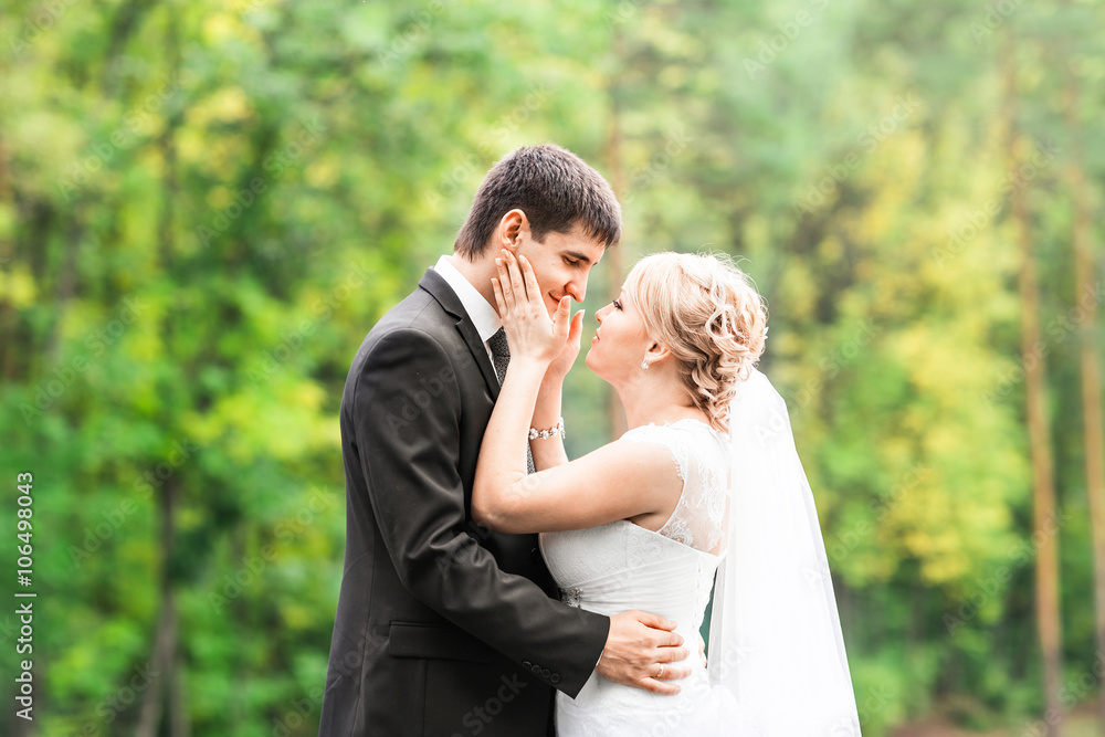 Beautiful Romantic Wedding Couple  Kissing and Embracing Outdoors