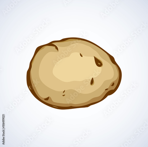 Potato. Vector drawing