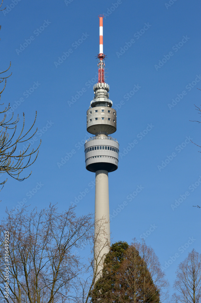 Fototapeta premium Florian Tower