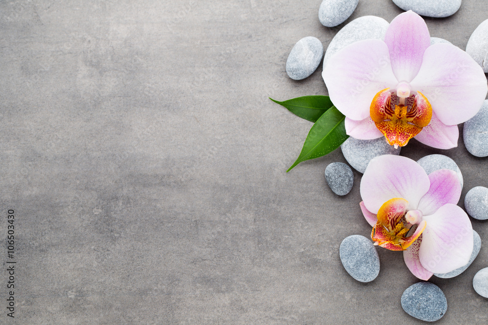 Spa orchid theme objects on grey background. Spa orchid theme objects on grey background.