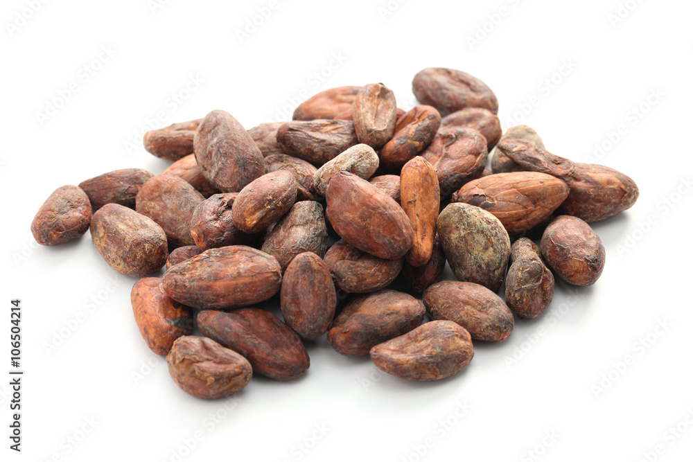 raw cacao cocoa beans on white background raw cacao cocoa beans on white background