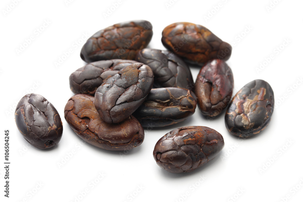 peeled roasted cacao cocoa beans on white background peeled roasted cacao cocoa beans on white background