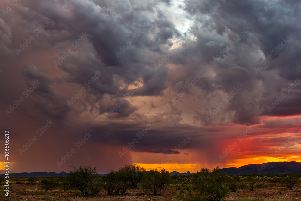 Obraz premium Storm at sunset in the desert near Phoenix, Arizona