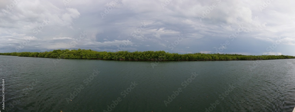 Fototapeta premium Zielony horyzont