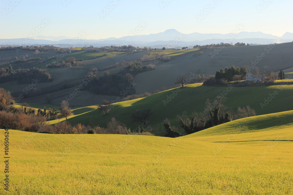 campagna marchigiana