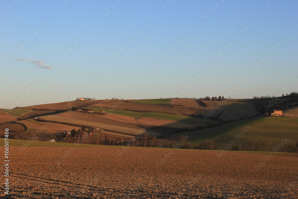 Fototapeta premium campagna marchigiana