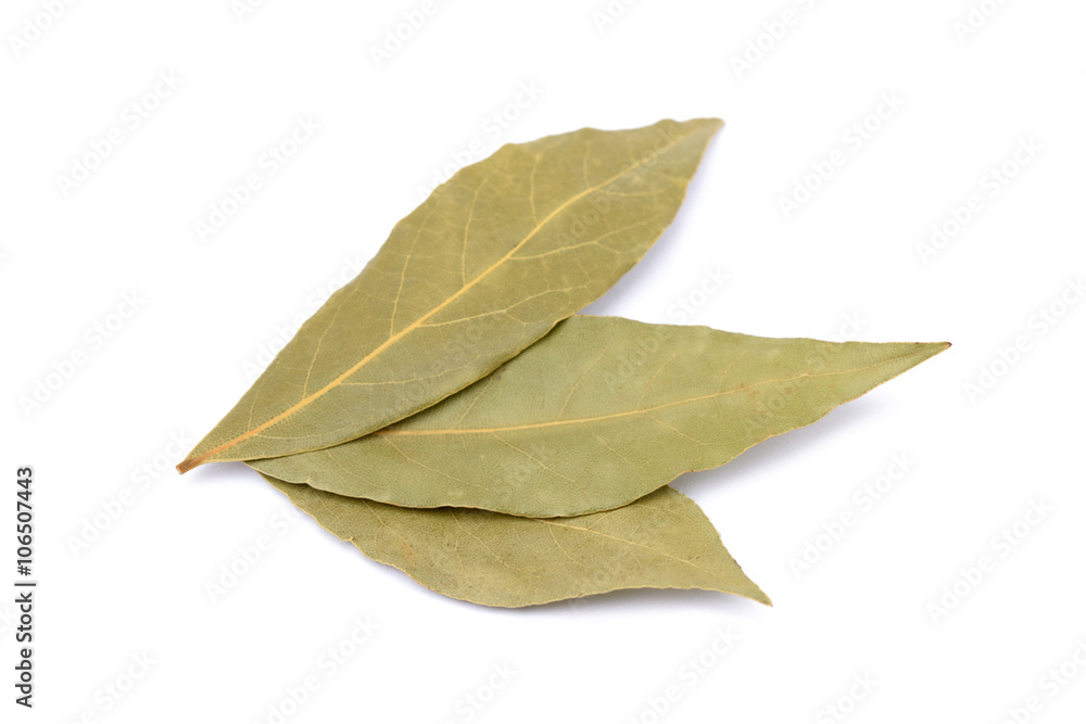 Spices bay leaves isolated on white background Spices bay leaves isolated on white background