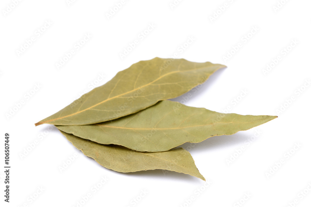 Spices bay leaves isolated on white background Spices bay leaves isolated on white background