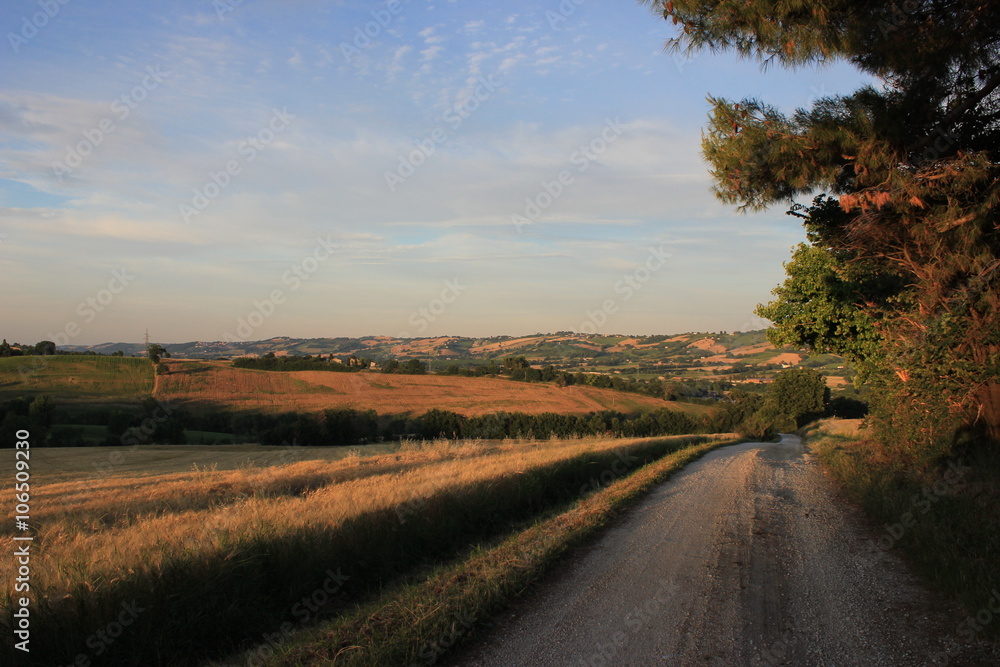 campagna marchigiana