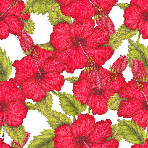 Seamless pattern of red hibiscus