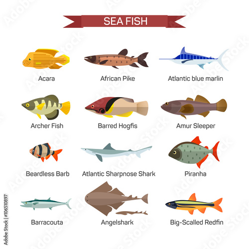 Fish vector set in flat style design. Ocean, sea and river fishes icons collection