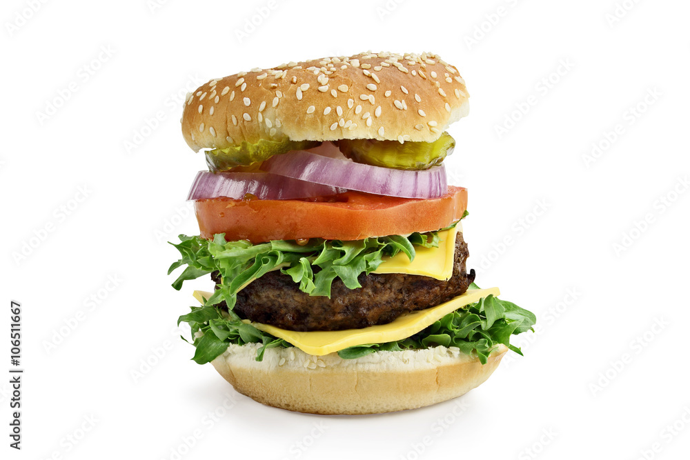 Isolated Hamburger Isolated Hamburger