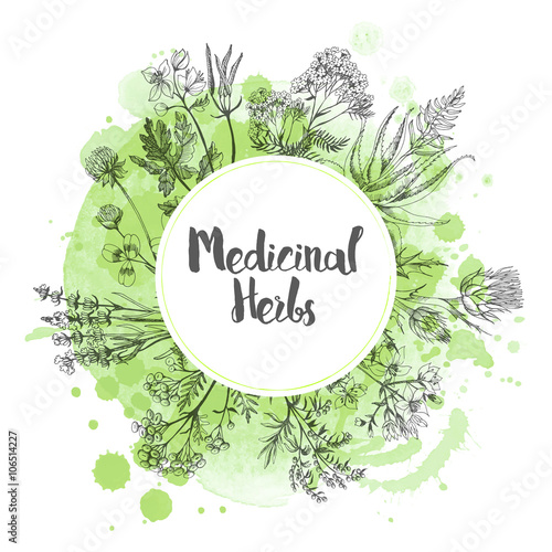 Watercolor vector background of medicinal herbs