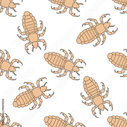 Seamless pattern with head human louse. Pediculus humanus capitis .    hand-drawn head human louse . Vector